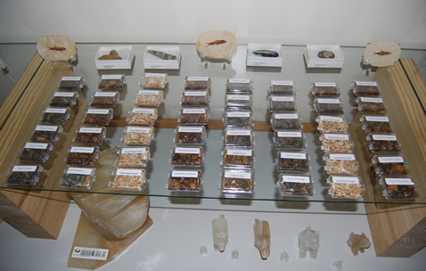 Gift Shop 5